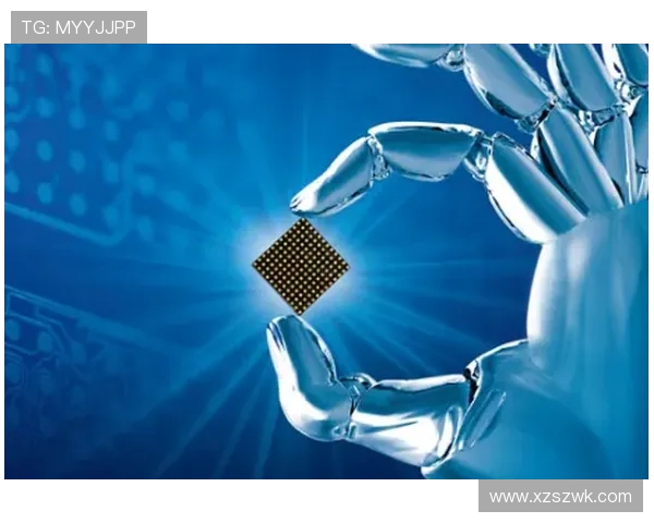 杨健分析奎因体质与技术特点预言其未来表现将持续稳定